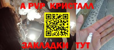 спиды Новодвинск