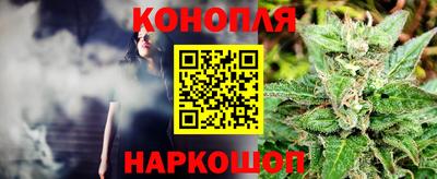 спиды Новодвинск