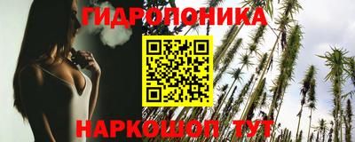 спиды Новодвинск