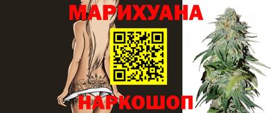 спиды Новодвинск