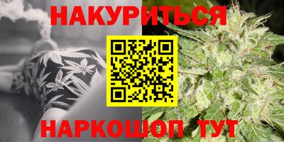 тгк Новозыбков