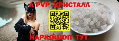 тгк Новозыбков