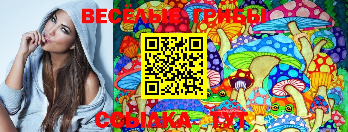 Галлюциногенные грибы Magic Shrooms Первоуральск